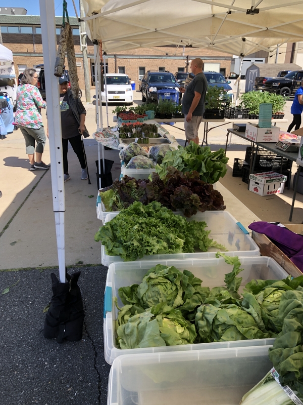 Ventnor Farmers Market a hit on the first market of the season - DOWNBEACH
