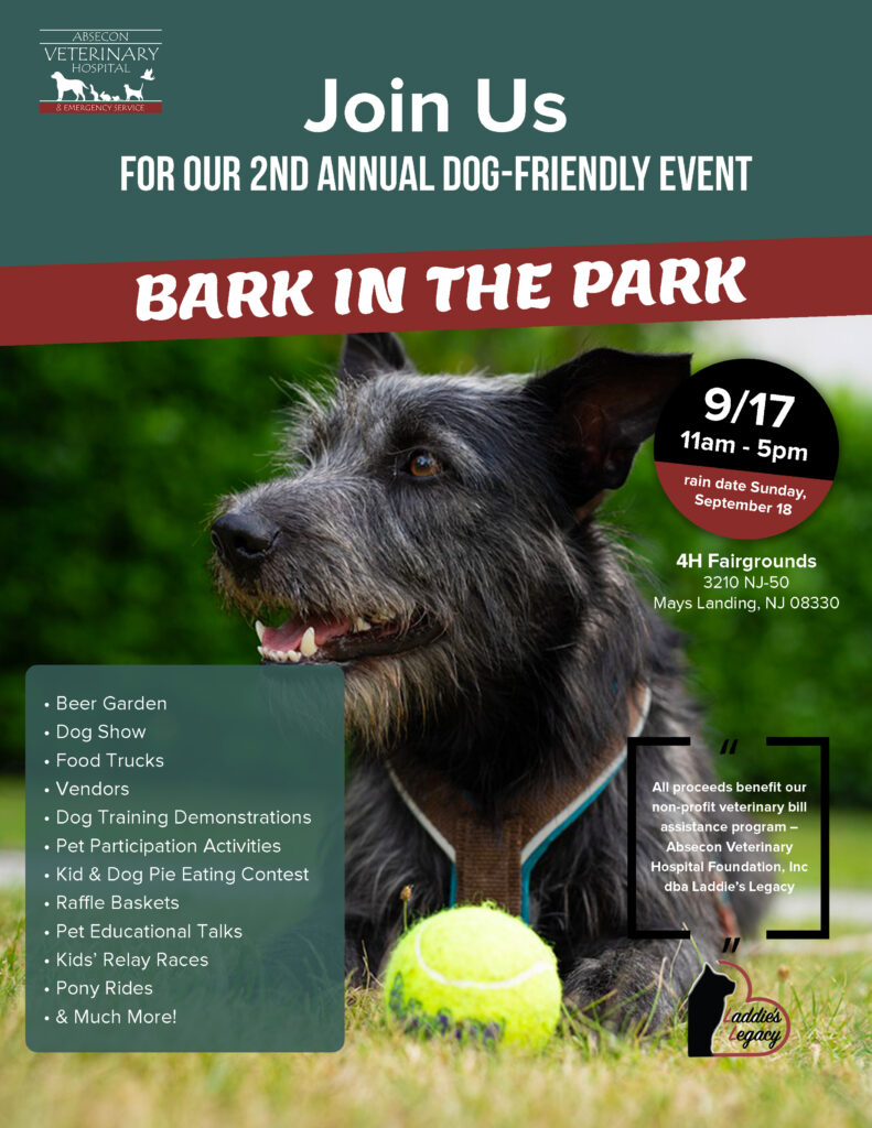 Bark at the Park, Inc.